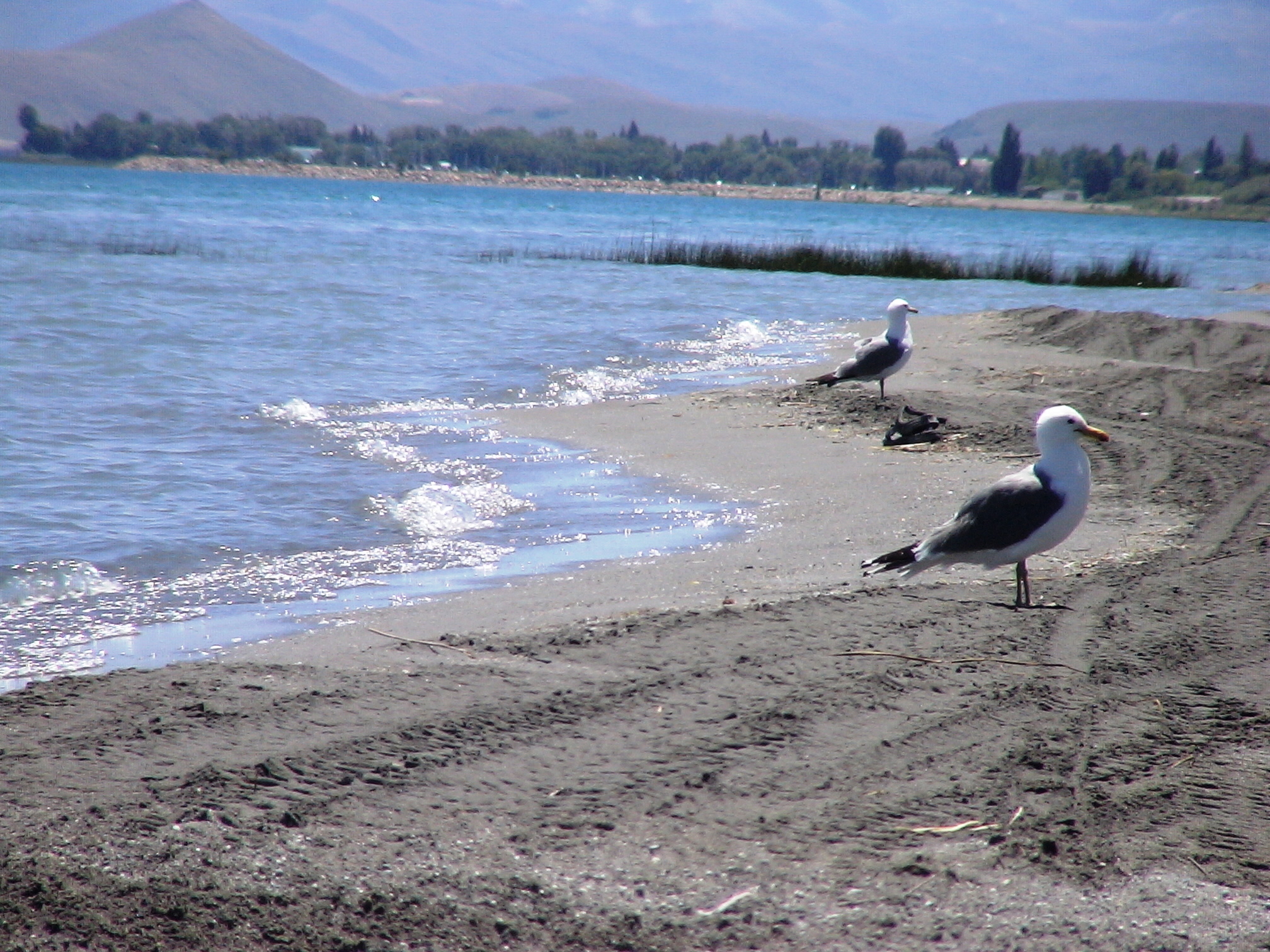 Bear Lake Subdivisions